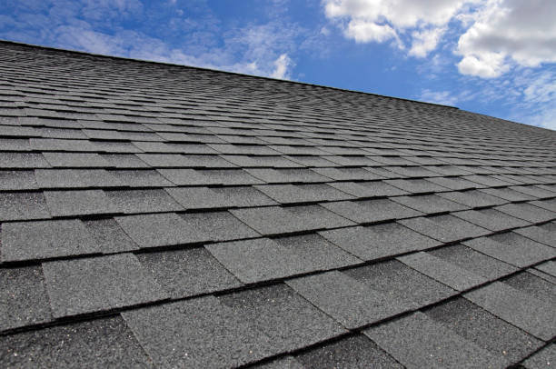 Best Sheet Metal Roofing  in Orwigsburg, PA